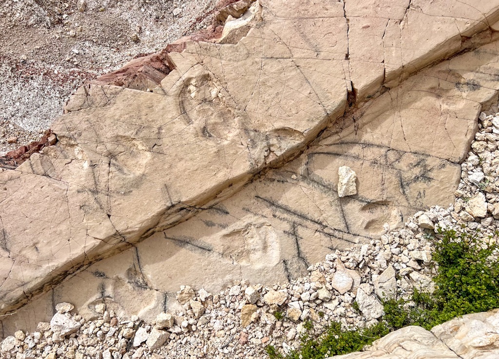 Fossil Camel Tracks, Death Valley